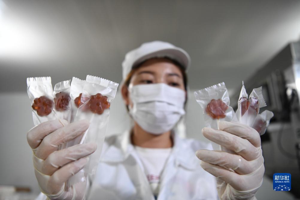 美梅高赌钱直营